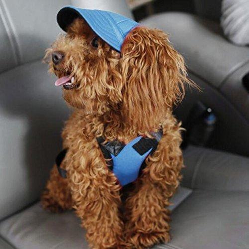 Dog Baseball Cap